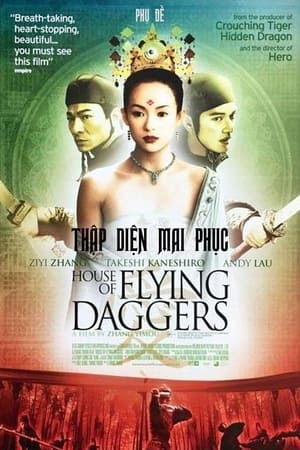 Thập Diện Mai Phục (2004)