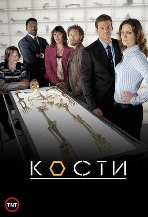 Poster Кости Сезон 12 Стоманата в колелата 2017