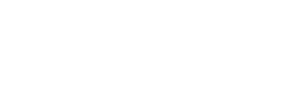 Flight of the Conchords — Logos 4