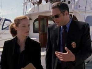 Criminal Intent – Verbrechen im Visier: 3×5