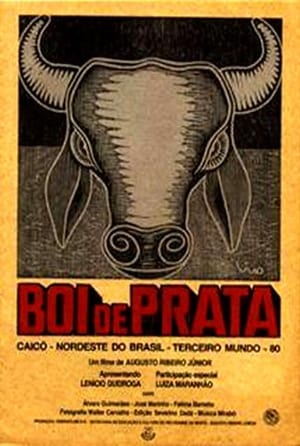 Poster Boi de Prata 1981