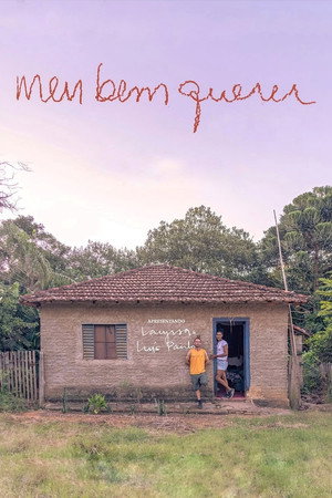 Meu Bem Querer