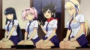 Senran Kagura: Ninja Flash!: 1×1