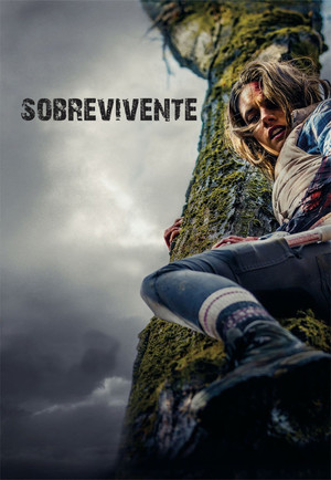 Backcountry 20
