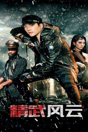 精武风云
