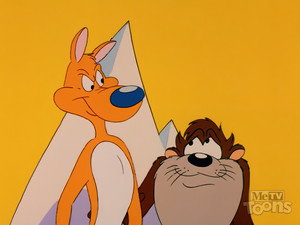 Taz Like Dingo still