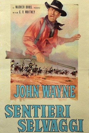 The Searchers 157
