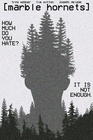 Marble hornets