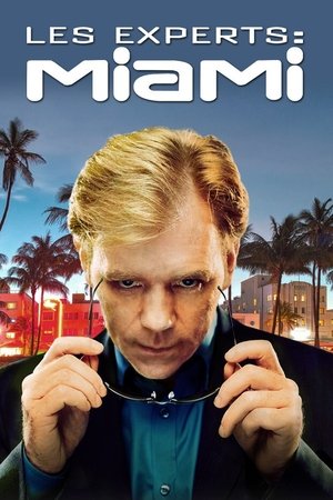 Les Experts : Miami movie poster