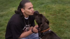 Pit Bulls and Parolees A Fighting Chance