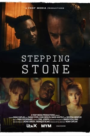 Poster Stepping Stone 2023