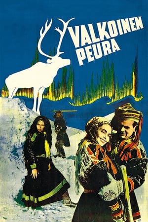 Poster 白色驯鹿 1952