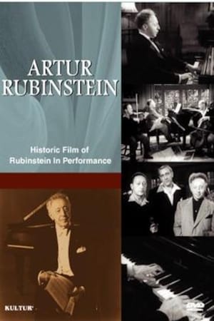 Poster Rubinstein: In Performance (1977)
