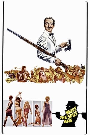 Poster Where the Spies Are 1966