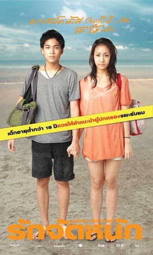 Poster รักจัดหนัก 2011