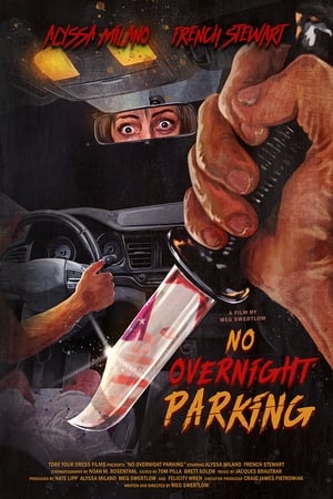 Poster No Overnight Parking 2023
