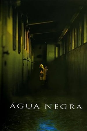 Poster Águas Passadas 2002