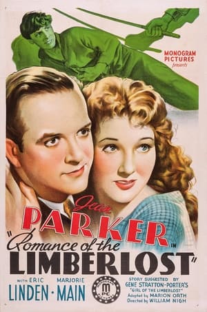 Poster Romance of the Limberlost 1938