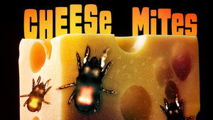 These Mites Give Cheese Its Flavor still