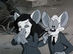 Pinky and the Brain The Third Mouse