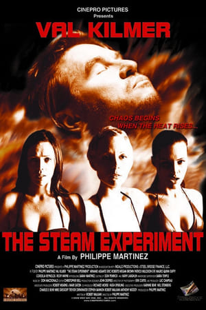Poster The Steam Experiment 2009