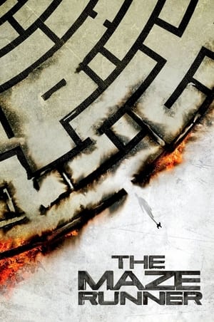 The Maze Runner (2014)