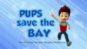 PAW Patrol Pups Save the Bay