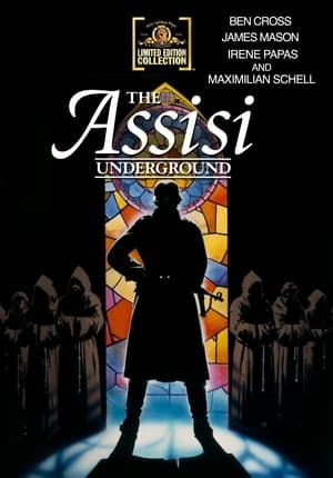 The Assisi Underground poster