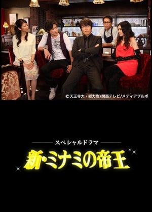 Poster The King of Minami Returns 2010