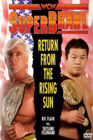 Poster WCW SuperBrawl: Return from The Rising Sun (1991)