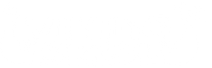 Vikingskool