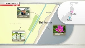 Journeys in Japan: 13×16