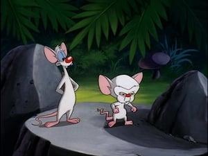 Pinky y Cerebro: 2×6