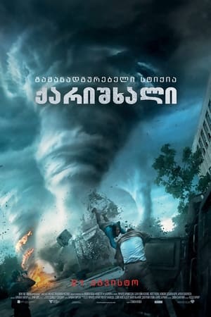 ქარიშხალი (2014)
