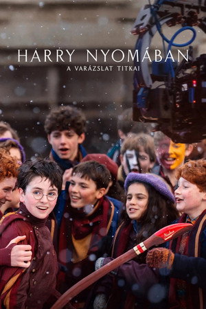 poster Finding Harry: The Craft Behind the Magic