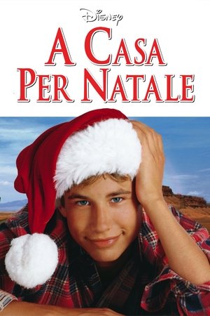 Poster A casa per Natale 1998