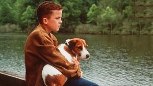 My Dog Skip film complet