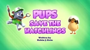 Image Pups Save the Hatchlings