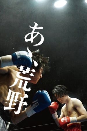 Poster 啊，荒野 后篇 2017