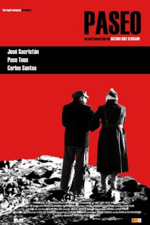 Poster Paseo (2007)