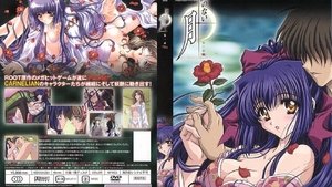 Moonlight Lady Episodio 1
