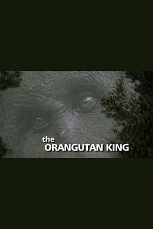 The Orangutan King film complet