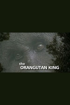 Poster The Orangutan King 2005