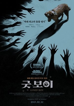Image 굿 보이