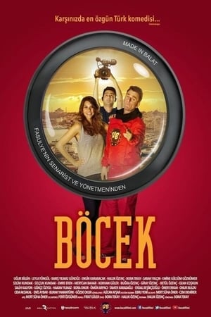 Poster Böcek 2013