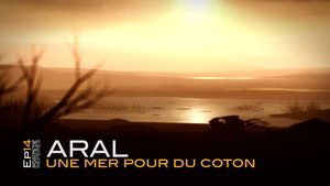 Aral, une mer pour du coton