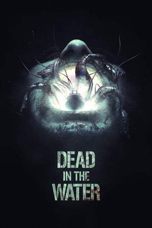 Image Dead in the Water