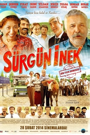 Image Sürgün İnek