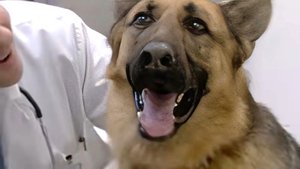 Untold Stories of the ER: 2×9