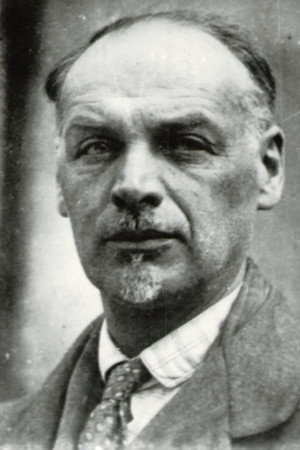 Владимир Баллюзек